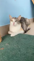 PENÉLOPE