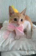JULIET