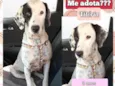 Vitória 
