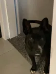 Preta