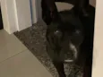 Preta