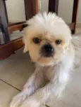 Lulu(luiza)