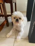 Lulu(luiza)