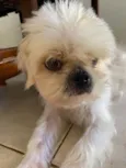 Lulu(luiza)