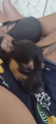 Nina 