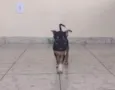 Nina 