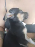 Nina 
