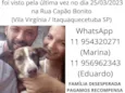 Costelinha