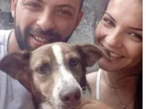 Cachorro raça  idade  nome Costelinha