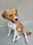 Carmela