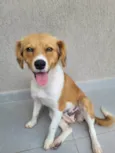 Carmela
