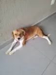 Carmela