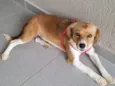 Carmela