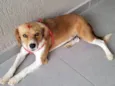 Carmela