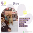 Cachorro raça SRD-ViraLata idade 2 a 6 meses nome Bidu