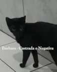 BÁRBARA