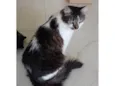Kiri