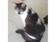 Kiri