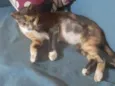 SABRINA