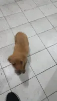 Bruce