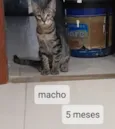 Não tem nome