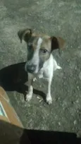 Toy