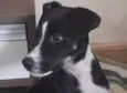 Nina