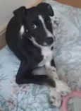 Nina