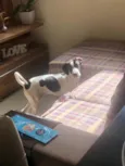 Não sei