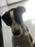 Não sei