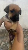 Sem nome