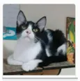 OTTO