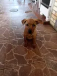 Mel