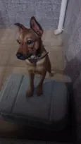 Scooby