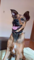 Scooby