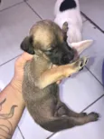 Recém na