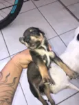 Recém na