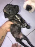 Recém na