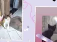 Neguinha e pintadinha 