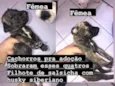 Recém na