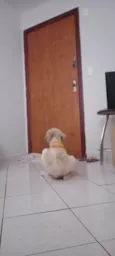 Johnny