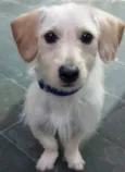 Marley
