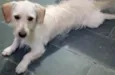 Marley