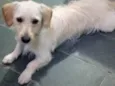 Marley