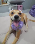 Juliette