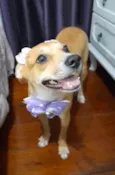 Juliette