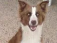 Molly