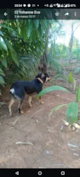 Sorisso