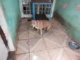 AQUILES