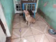 AQUILES